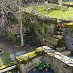 L'eaubergerine