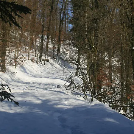 L'eaubergerine * Herbeumont