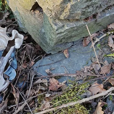 펜션 L'eaubergerine 헤르보몽