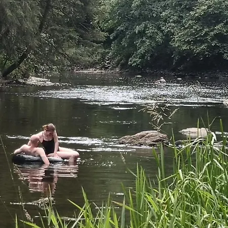 L'eaubergerine