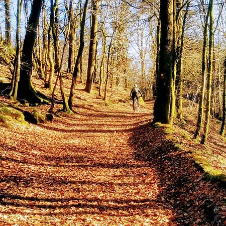 L'eaubergerine 펜션