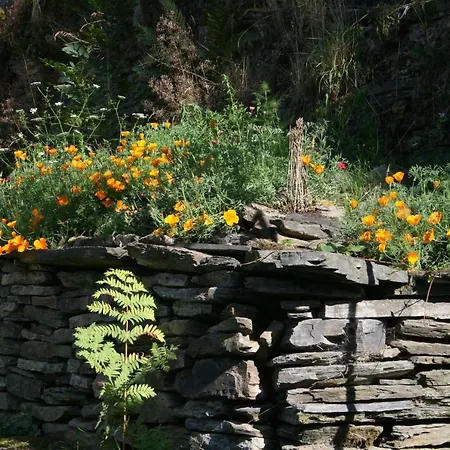 L'eaubergerine Herbeumont