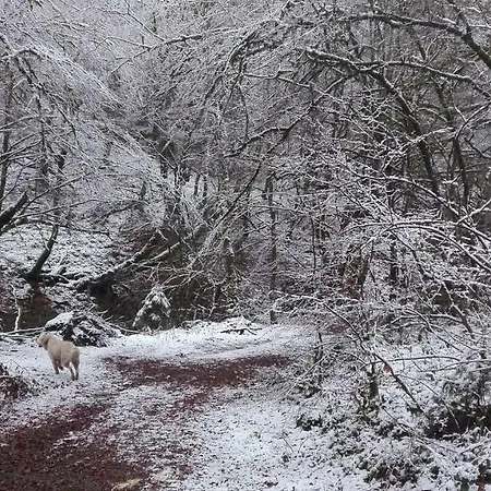 L'eaubergerine * Herbeumont
