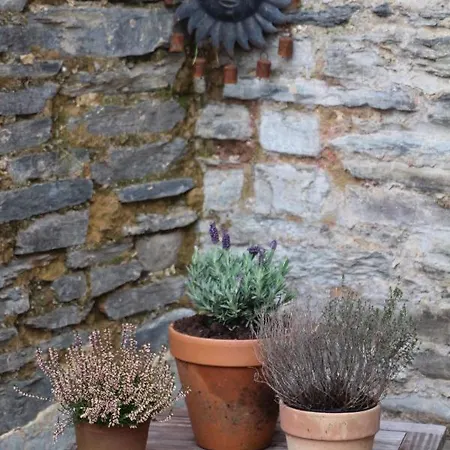 펜션 L'eaubergerine *